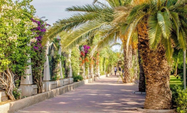 Herverkoop - Appartement / flat -
Torrevieja - Centro