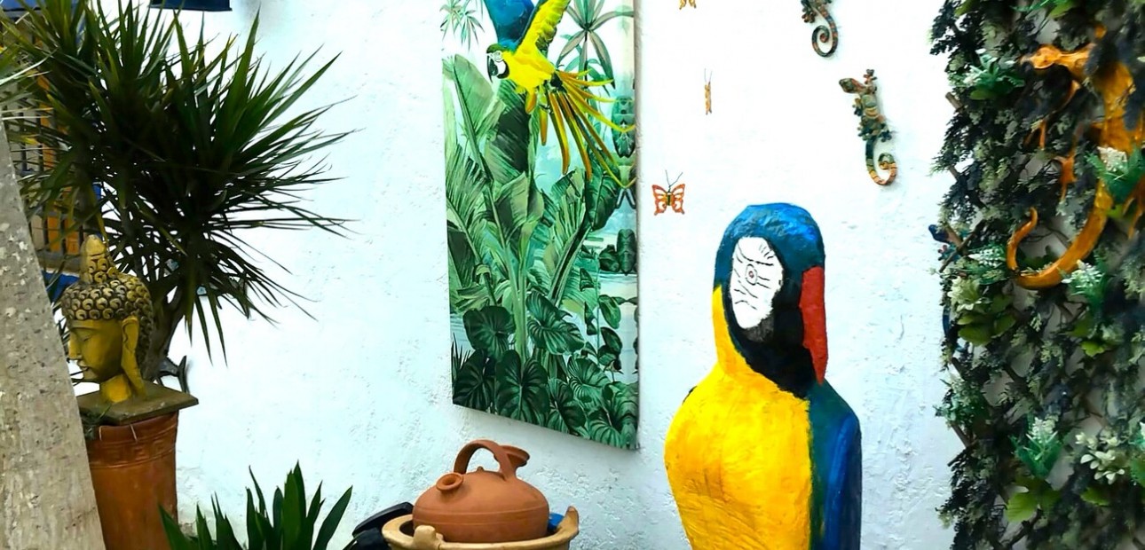 Herverkoop - Country Property -
Daya Nueva - Daya Nueva - Country