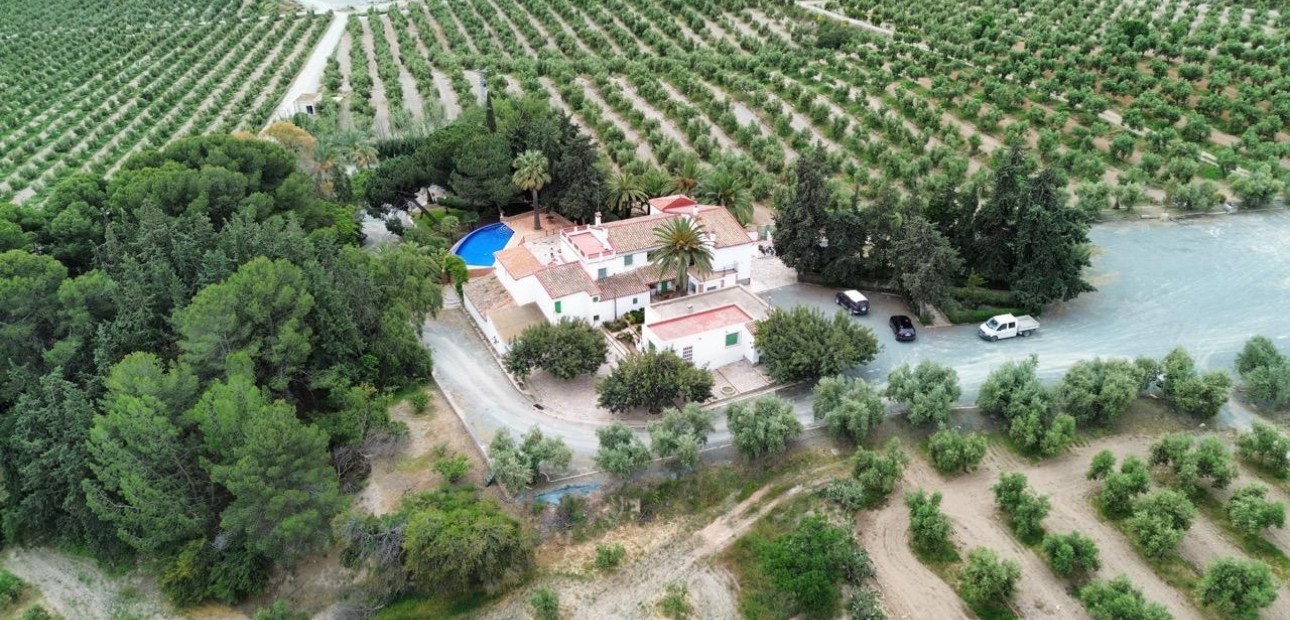 Sale - Country land -
Murcia - Rincón de Seca