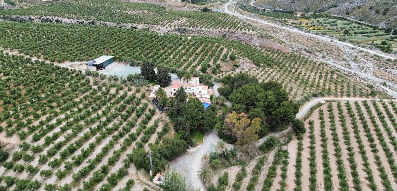 Sale - Country land -
Murcia - Rincón de Seca