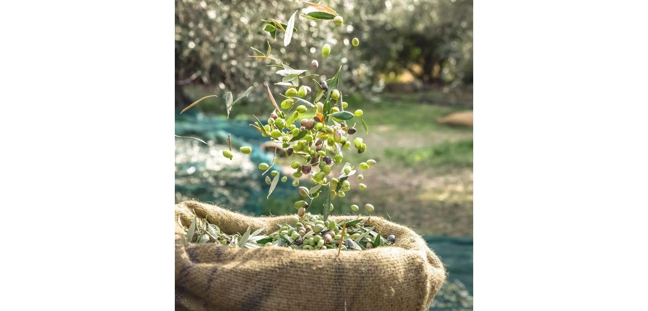 Sale - Country land -
Murcia - Rincón de Seca