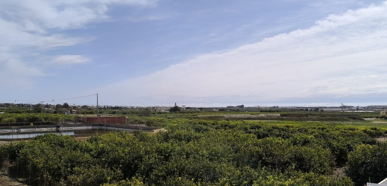 Herverkoop - Detached Villa -
Guardamar del Segura - El Raso