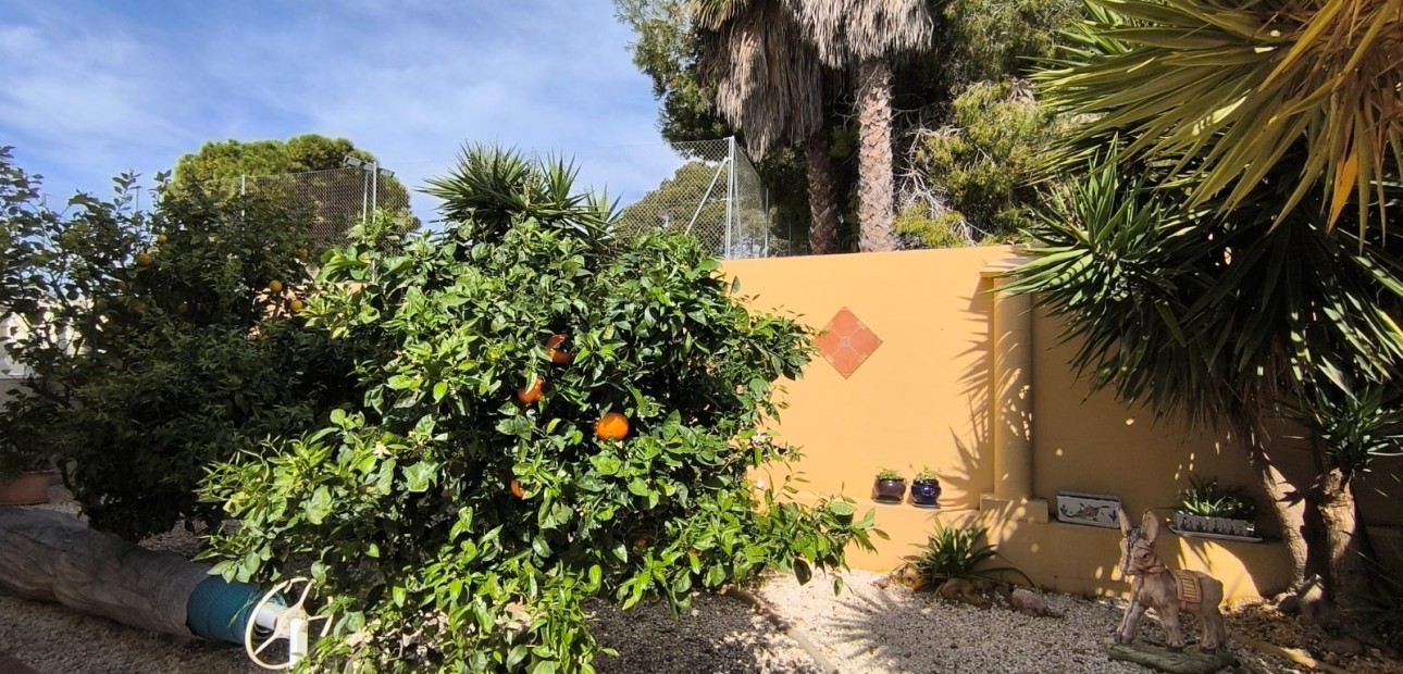 Herverkoop - Detached Villa -
Guardamar del Segura - El Raso