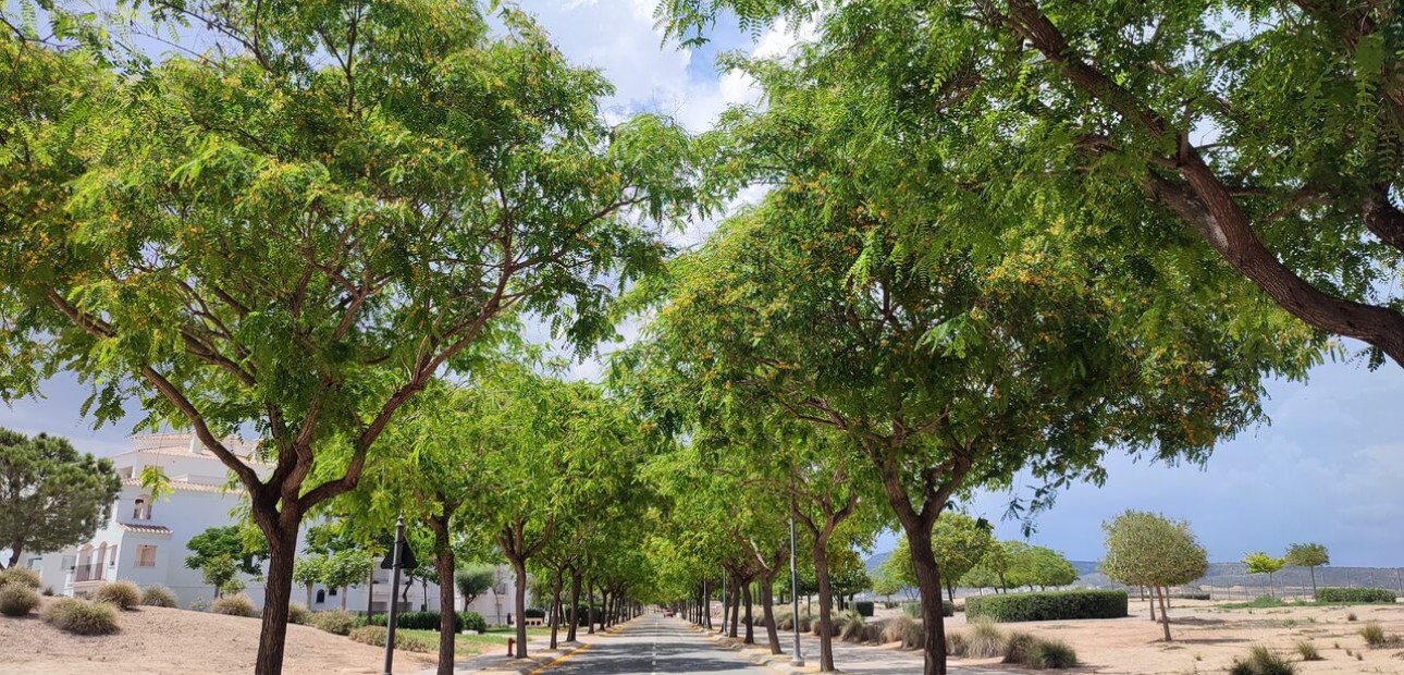 Herverkoop - Appartement / flat -
Hacienda Riquelme Golf Resort - Hacienda Riquelme Golf Resort - Centre