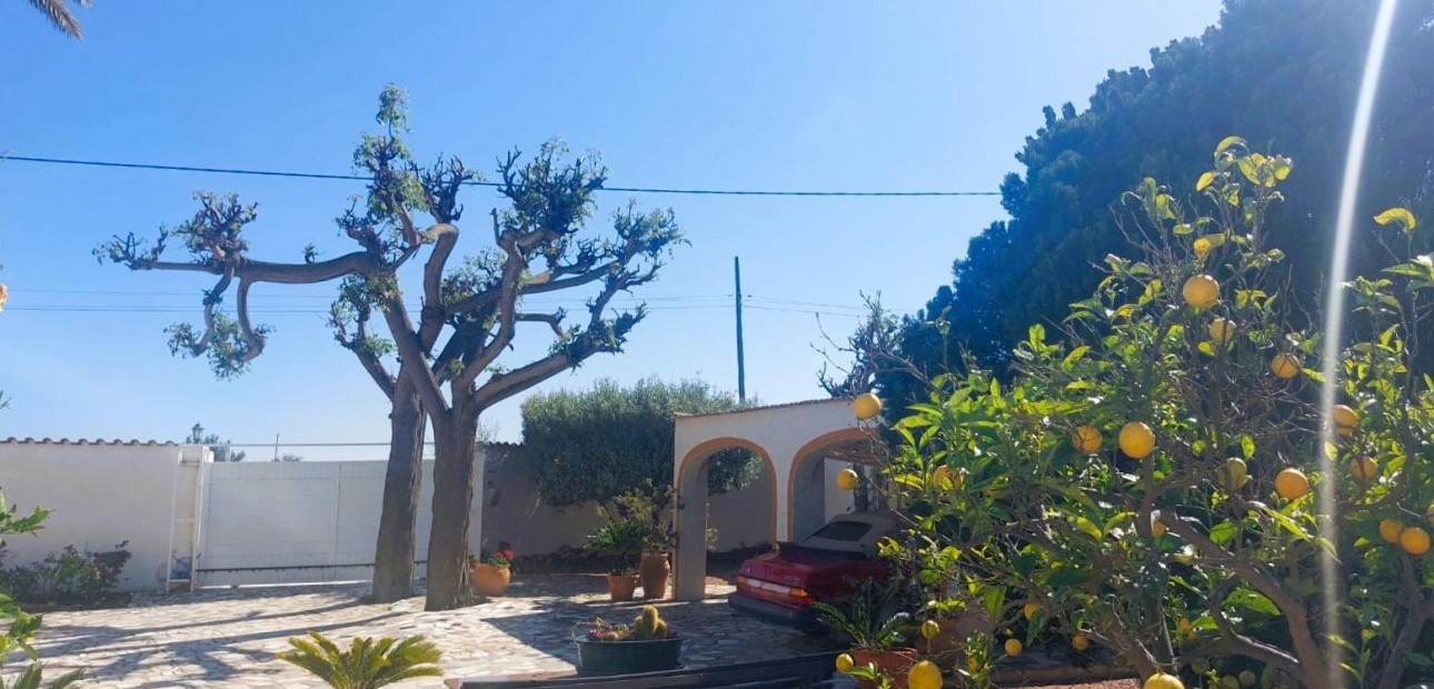 Sale - Masia -
La marina - La Marina