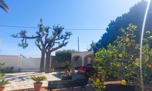 Sale - Masia -
La marina - La Marina