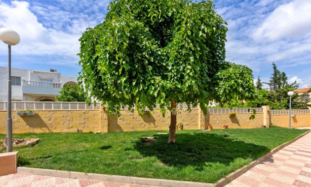 Herverkoop - Appartement / flat -
Torrevieja - El Chaparral