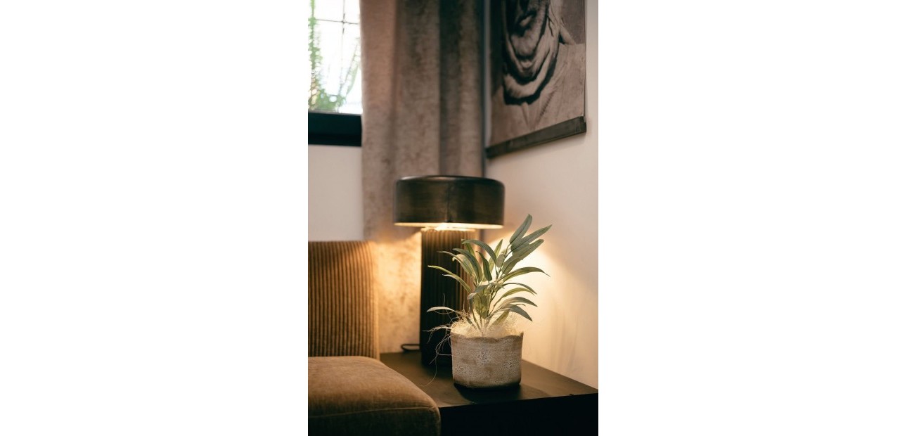 Herverkoop - Appartement / flat -
Torrevieja - Torrevieja - Centre