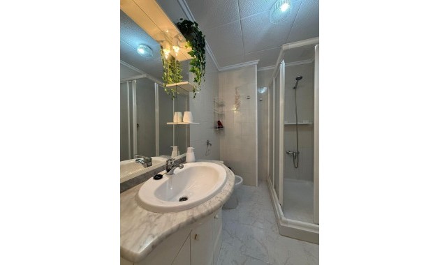 Sale - Apartment / flat -
Torrevieja - Estacion de autobuses