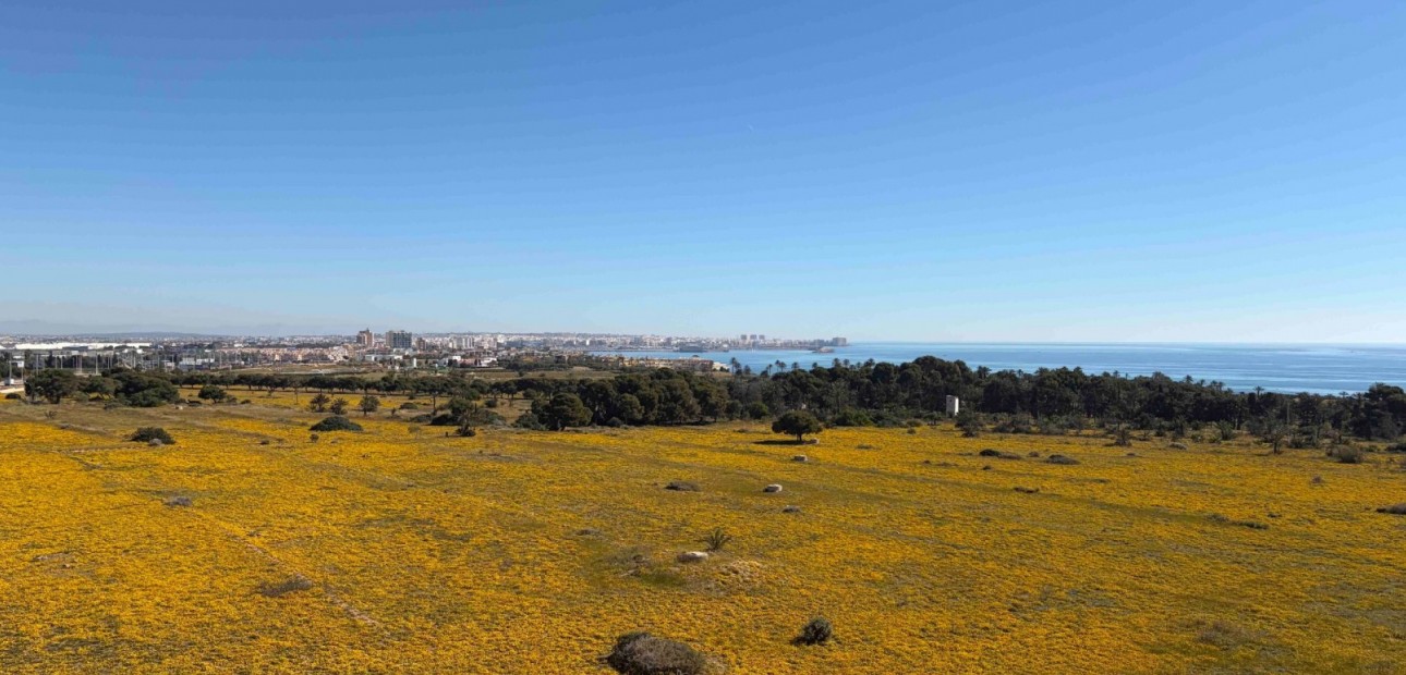 Sale - Apartment / flat -
Orihuela Costa - Punta Prima