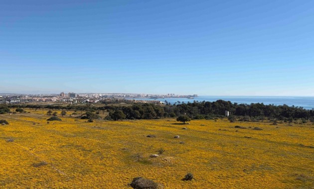 Sale - Apartment / flat -
Orihuela Costa - Punta Prima