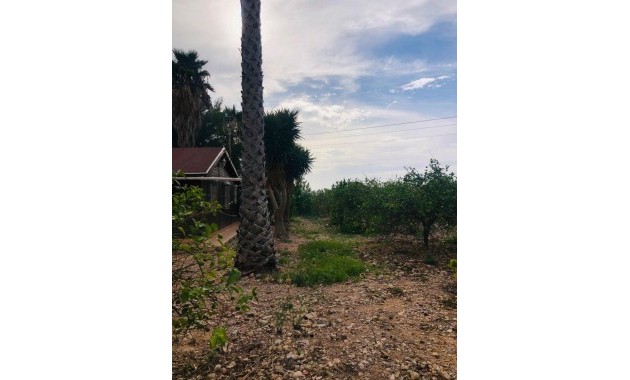 Venta - Country House -
Orihuela - La Murada-Los Vicentes