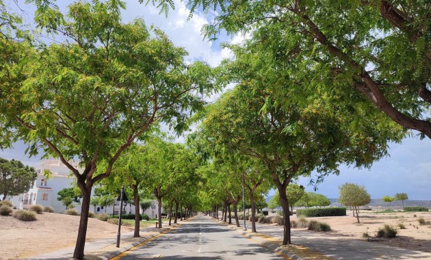 Venta - Apartamento / piso -
Hacienda Riquelme Golf Resort - Hacienda Riquelme Golf Resort - Centre