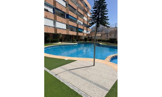 Venta - Apartamento / piso -
Torrevieja - Acequion