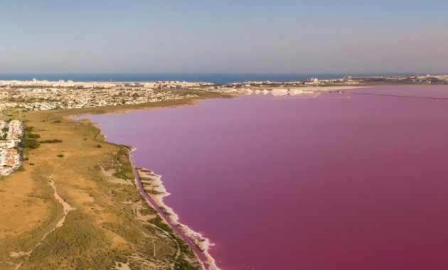 Venta - Detached Villa -
Torrevieja - Torrevieja - Centre