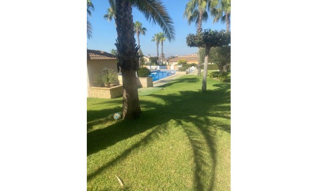 Venta - Adosado -
Ciudad Quesada - Dona Pepa