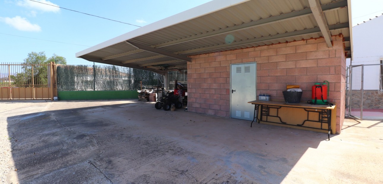 Sale - Country Property -
Benferri - Benferri - Country