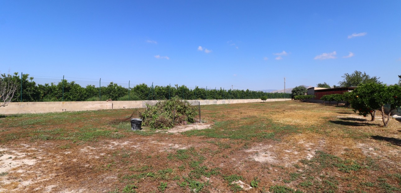 Sale - Country Property -
Benferri - Benferri - Country