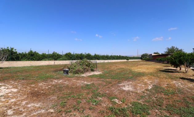 Sale - Country Property -
Benferri - Benferri - Country