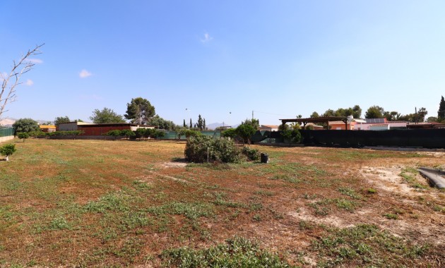 Sale - Country Property -
Benferri - Benferri - Country