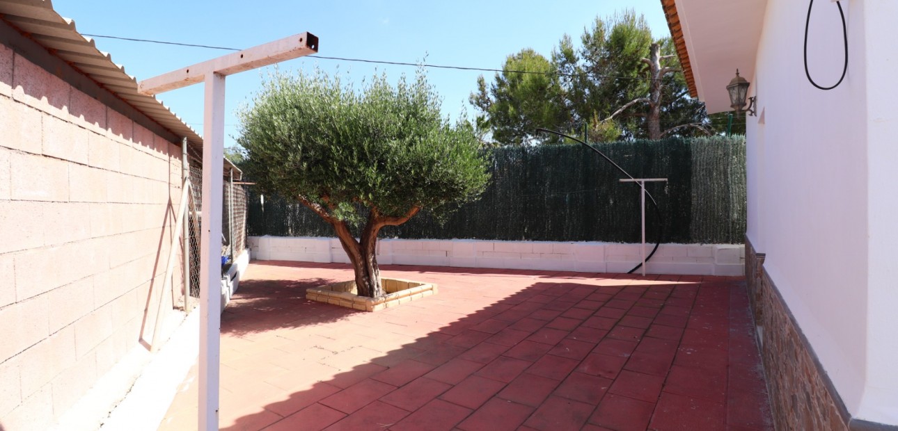 Sale - Country Property -
Benferri - Benferri - Country