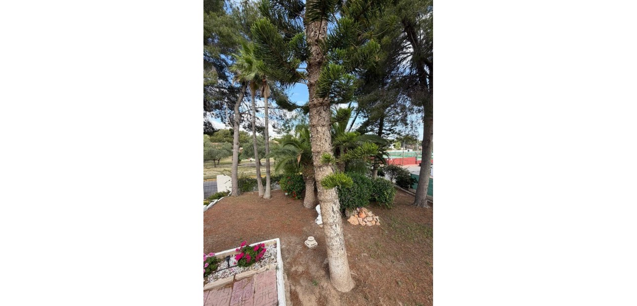 Alquiler a largo plazo - Villa -
Torrevieja - Los Balcones - Los Altos del Edén