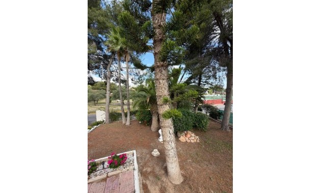Alquiler a largo plazo - Villa -
Torrevieja - Los Balcones - Los Altos del Edén