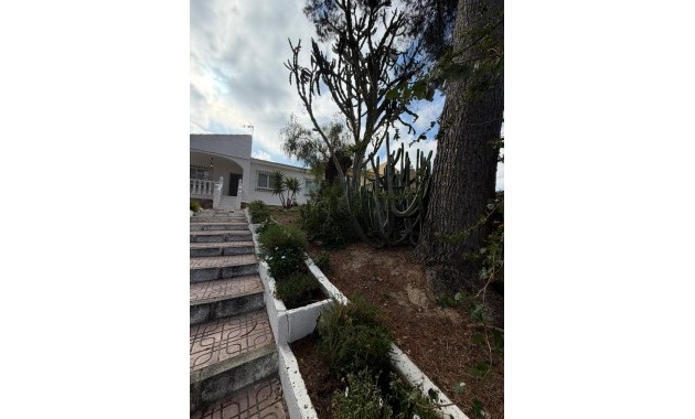 Alquiler a largo plazo - Villa -
Torrevieja - Los Balcones - Los Altos del Edén