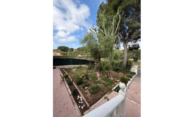 Alquiler a largo plazo - Villa -
Torrevieja - Los Balcones - Los Altos del Edén