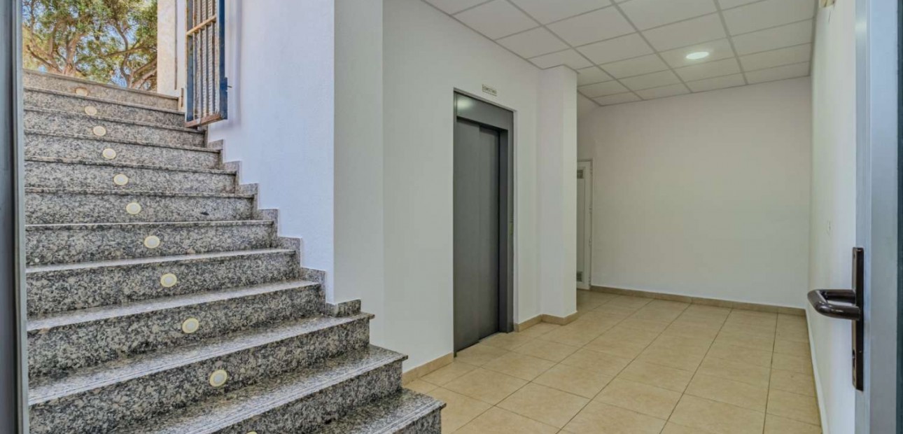 Sale - Business local -
Torrevieja - Nueva Torrevieja - Aguas Nuevas