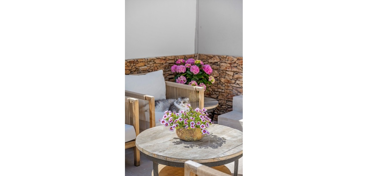 Sale - Townhouse -
Alicante - Playa San Juan