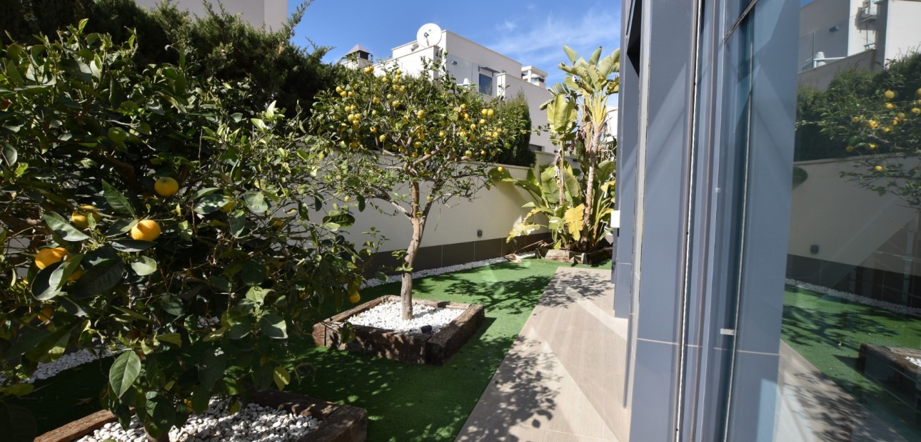 Sale - Detached Villa -
San Miguel de Salinas - San Miguel - Town