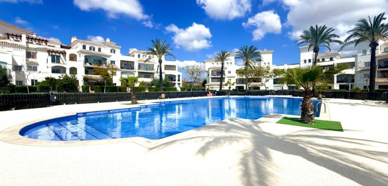 Venta - Apartamento / piso -
Murcia