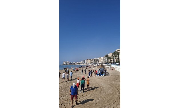 Venta - Apartamento / piso -
Torrevieja - Playa Los Locos