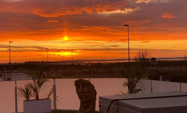 Sale - Detached Villa -
Los Montesinos - Entre Naranjos / Vistabella Golf