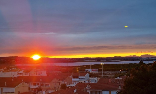 Sale - Apartment / flat -
Torrevieja - Playa Los Naufragos