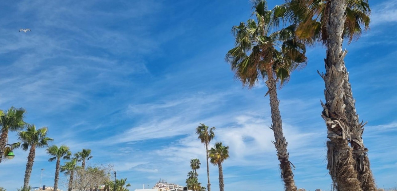 Sale - Apartment / flat -
Torrevieja - Playa Los Naufragos