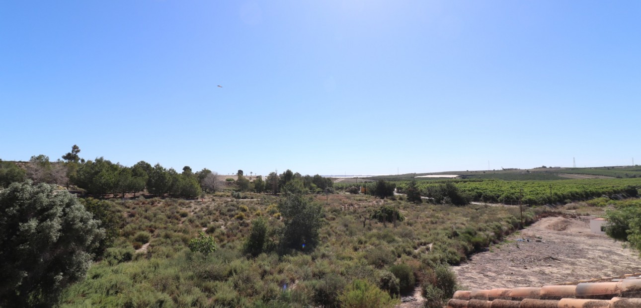 Sale - Detached Villa -
San Miguel de Salinas - Lake View Mansions
