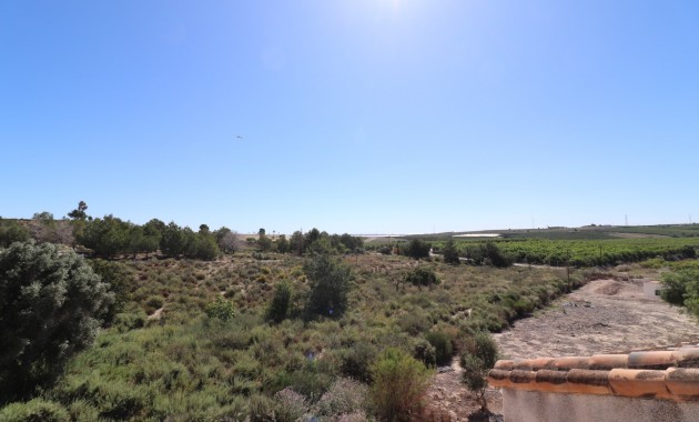 Sale - Detached Villa -
San Miguel de Salinas - Lake View Mansions