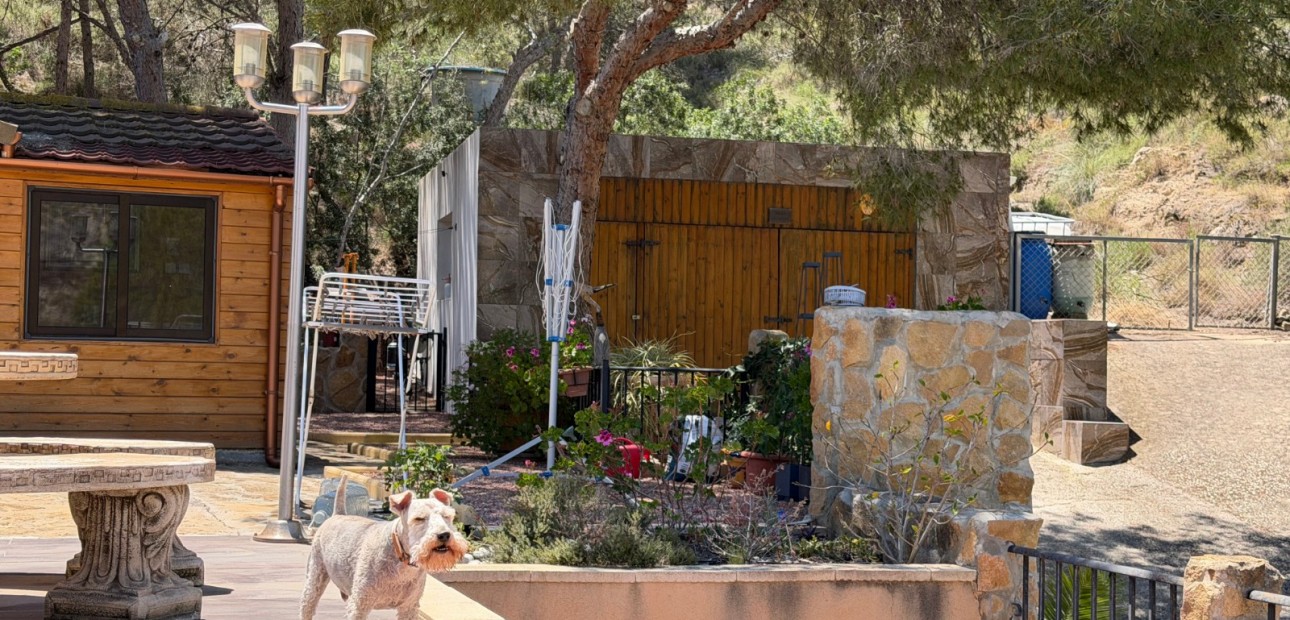 Herverkoop - Country Property/Finca -
Orihuela - Torremendo