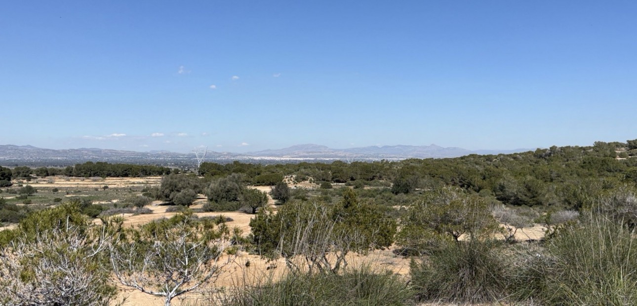 Venta - Land and Plots -
San Fulgencio - La Marina