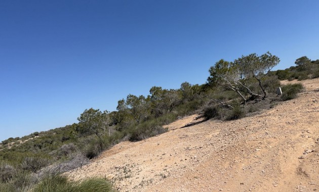 Venta - Land and Plots -
San Fulgencio - La Marina
