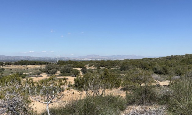 Venta - Land and Plots -
San Fulgencio - La Marina