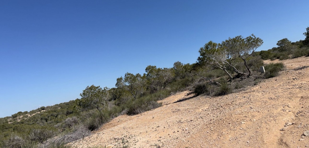 Venta - Land and Plots -
San Fulgencio - La Marina