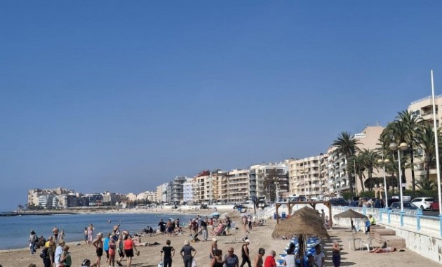 Venta - Apartamento / piso -
Torrevieja - Los Frutales