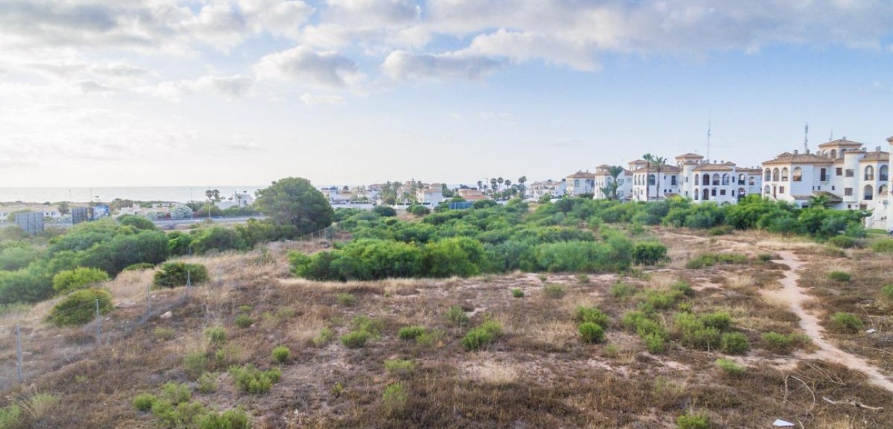 Nueva construcción  - Flat -
Orihuela Costa - Playa Flamenca