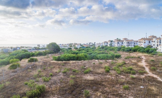 Nueva construcción  - Flat -
Orihuela Costa - Playa Flamenca