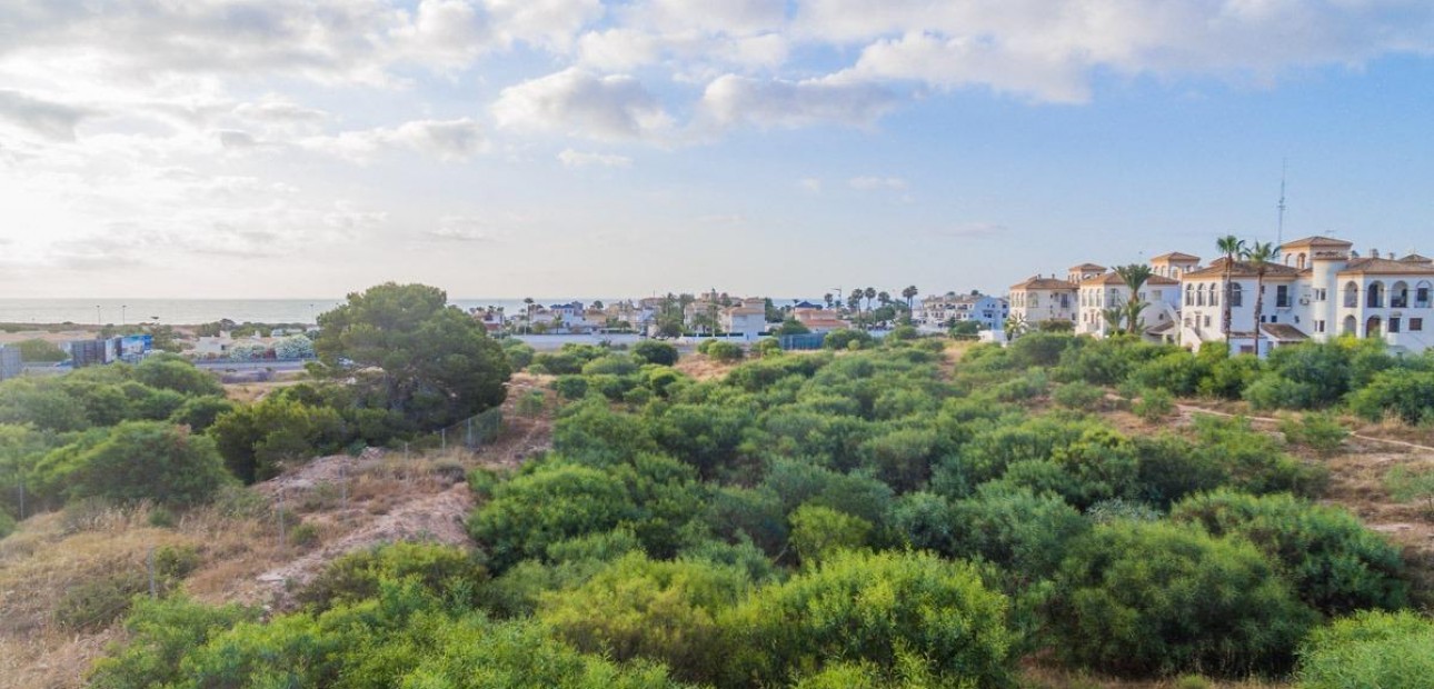 Nueva construcción  - Flat -
Orihuela Costa - Playa Flamenca