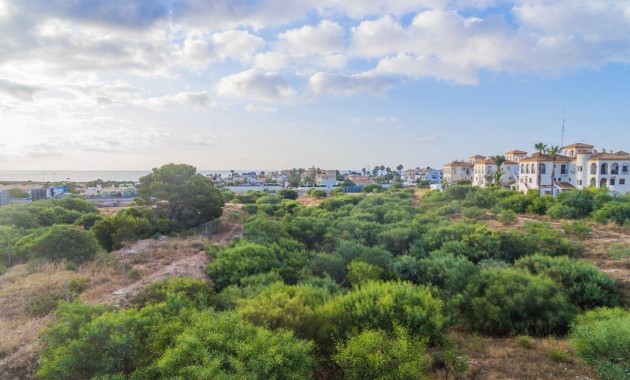 Nueva construcción  - Flat -
Orihuela Costa - Playa Flamenca