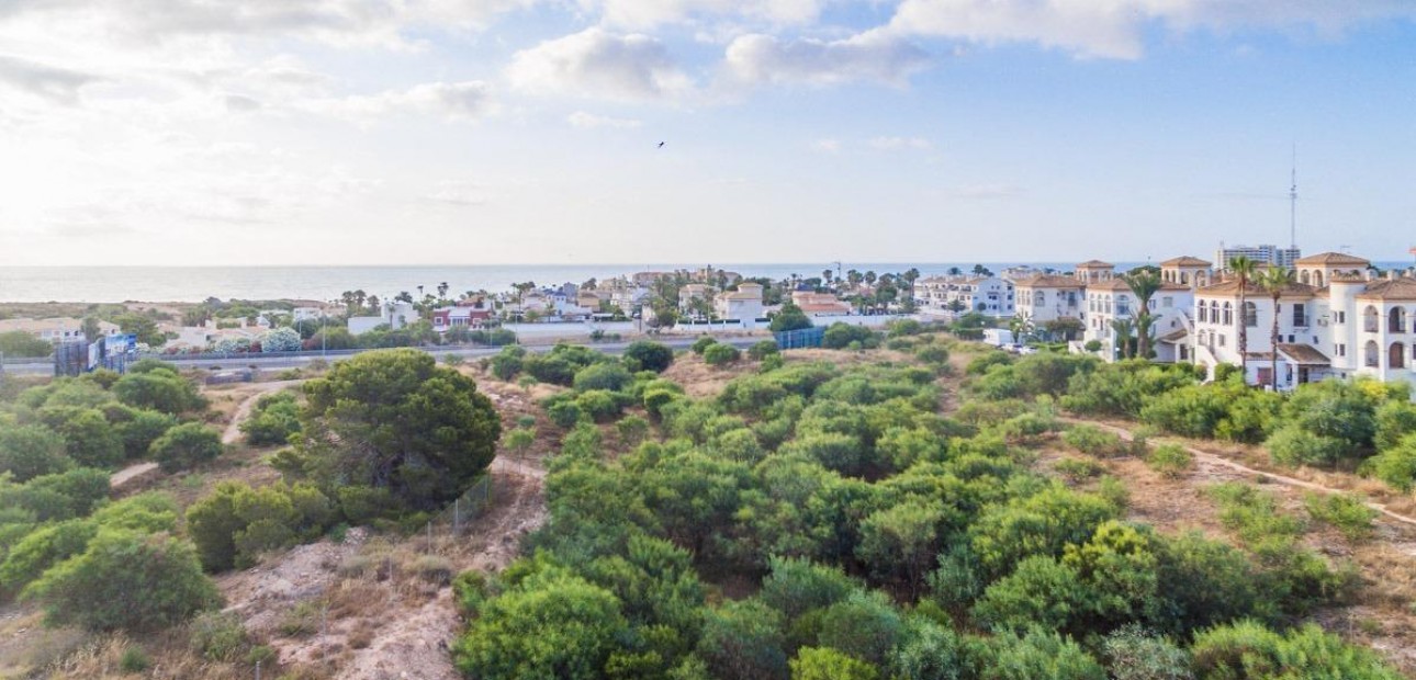 Nueva construcción  - Flat -
Orihuela Costa - Playa Flamenca
